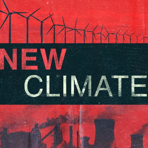 Next 10 years crucial as oceans lose oxygen with potentially dire effects, says new study
Next 10 years crucial as oceans lose oxygen with potentially dire effects, says new study