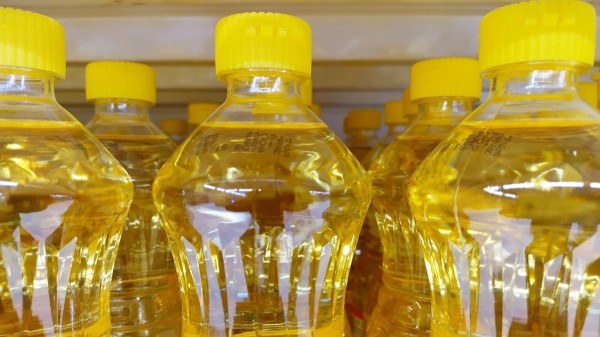 America's most popular cooking oil may be linked to obesity, new study finds