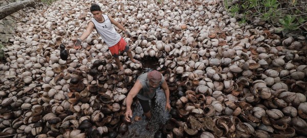From bagpipes to salt-making, UNESCO honours endangered culture passed down through generations
