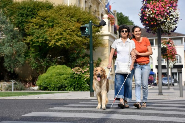 Genetics don't always lead to vision loss and blindness Genetics don't always lead to vision loss and blindness