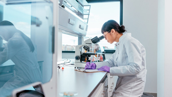 Traditional Brazilian plant shows unexpected strength against arthritis