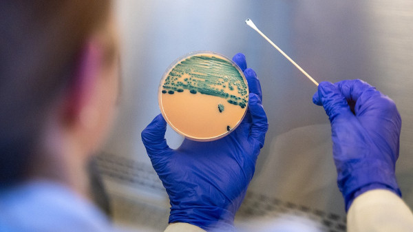 Stomach-turning sexually transmitted infection is on the rise &mdash; and standard medicines are failing