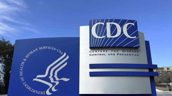 Brain-infecting fungus that can kill 7 in 10 patients is on the rise across America Brain-infecting fungus that can kill 7 in 10 patients is on the rise across America