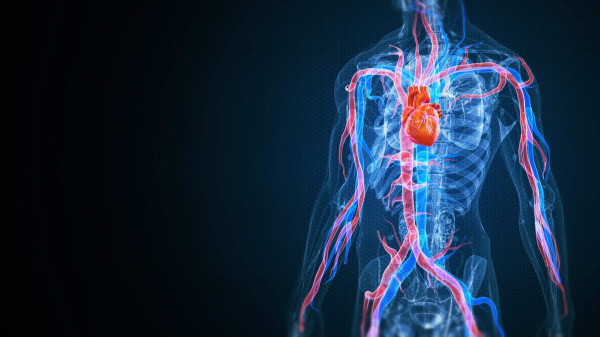 Silent heart threat found in adults under 30 with no known cardiovascular disease
